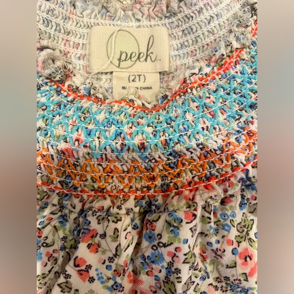Peek toddler girl dress. 2T - Picture 4 of 4